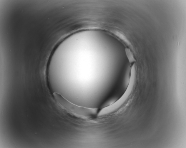 X0000088131181200706041942