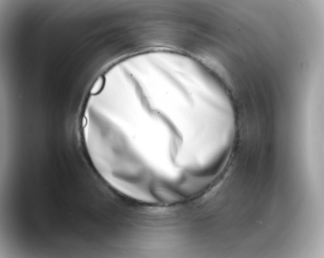 X0000088131182200706041942