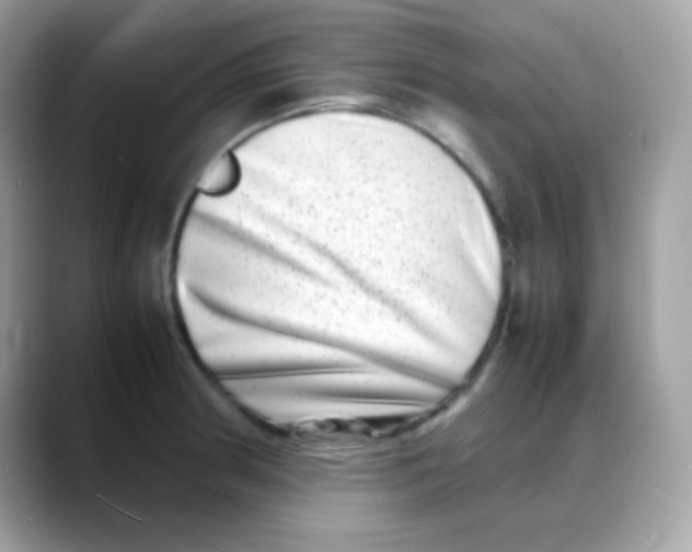 X0000088131186200706041942