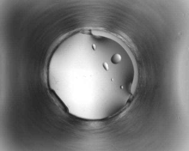 X0000088131188200706041942