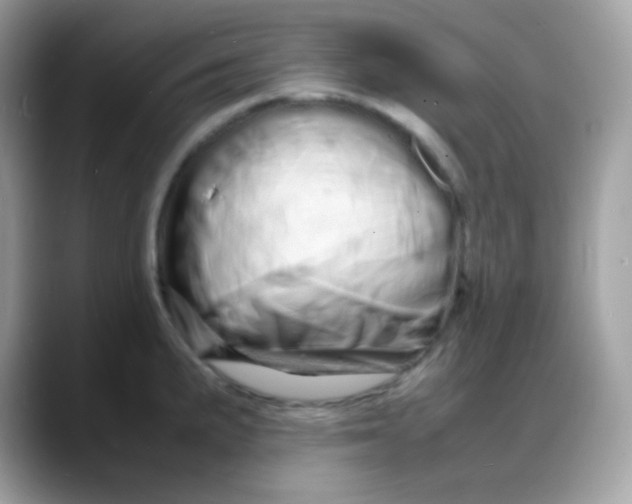 X0000088131191200706041942