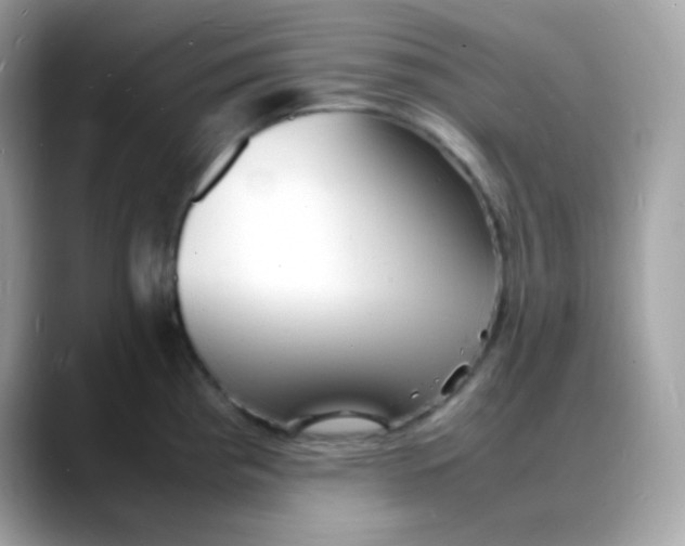 X0000088131193200706041942