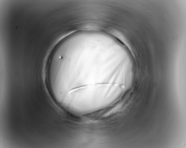 X0000088131195200706041942