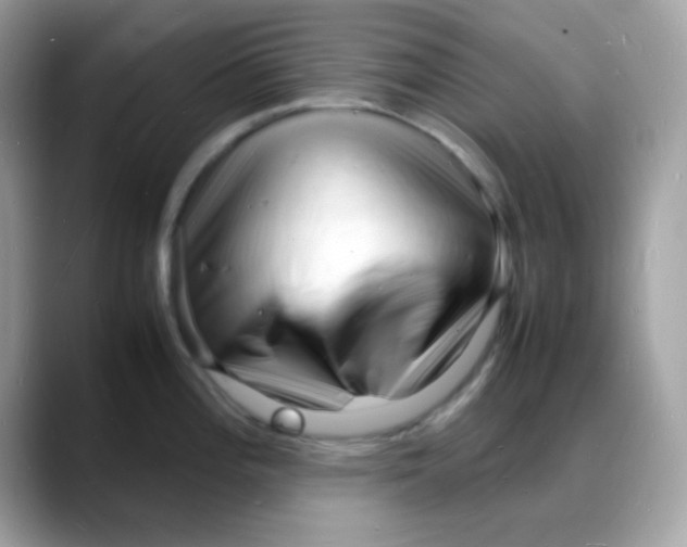 X0000088131196200706041942