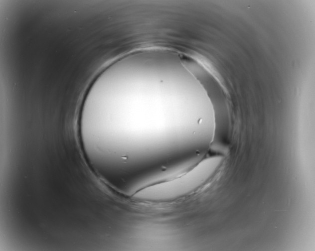 X0000088131197200706041942