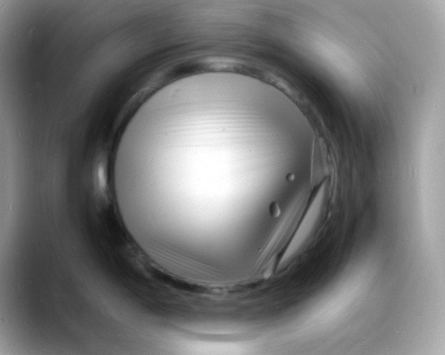 X0000088131198200706041942