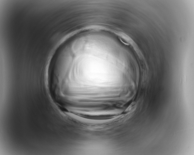 X0000088131199200706041942