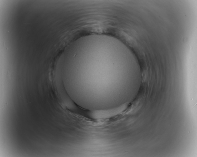 X0000088131202200706041941