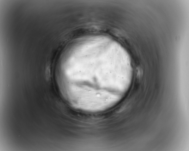 X0000088131203200706041941