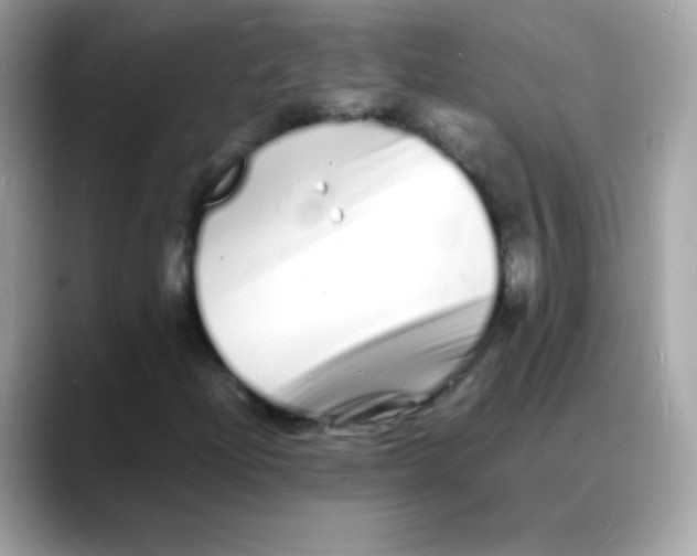 X0000088131204200706041941