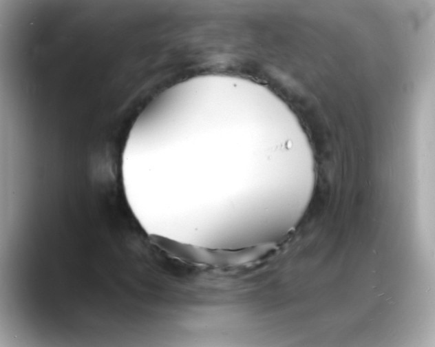 X0000088131206200706041941