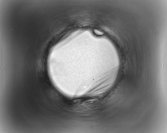 X0000088131207200706041941