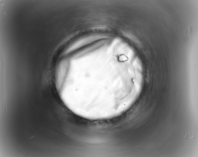 X0000088131208200706041942