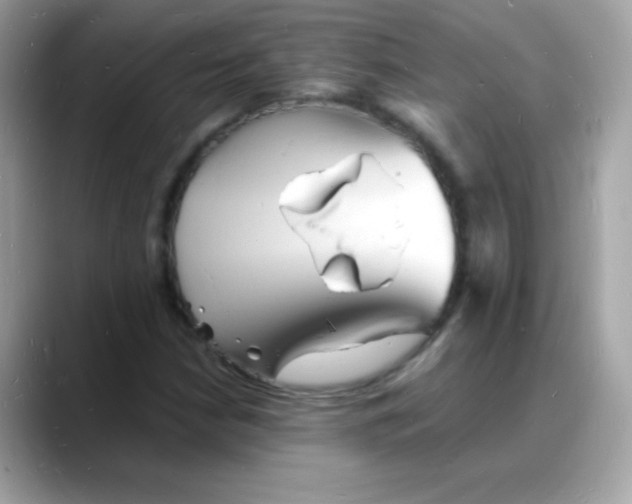 X0000088131210200706041942