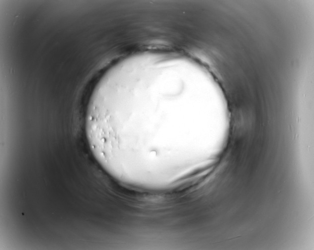 X0000088131211200706041942