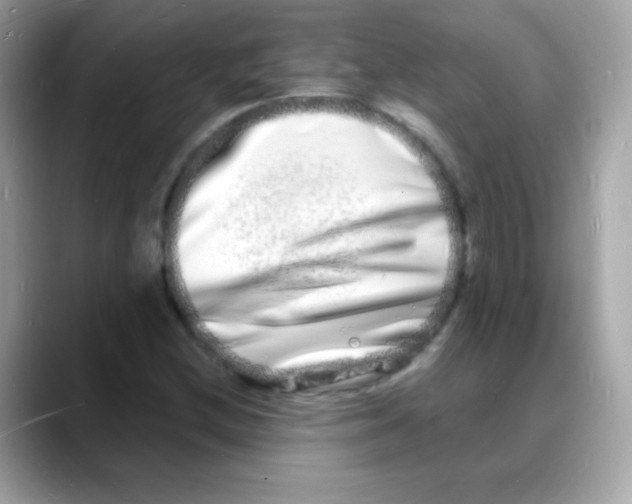 X0000088131212200706041942