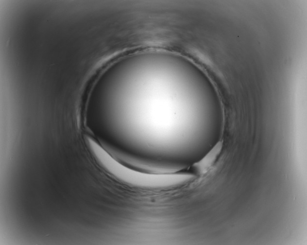 X0000088131214200706041942