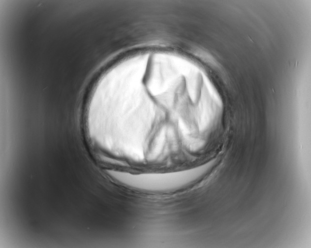 X0000088131216200706041942