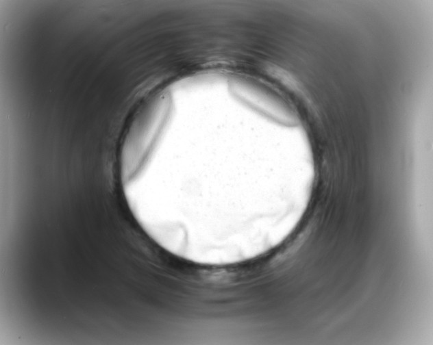 X0000088131217200706041942