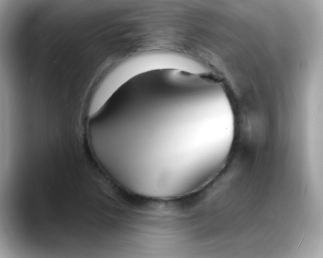 X0000088131218200706041942