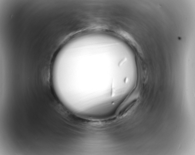 X0000088131220200706041942