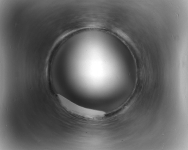 X0000088131222200706041942