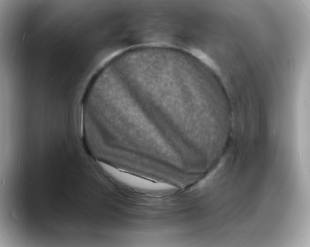 X0000088131223200706041942