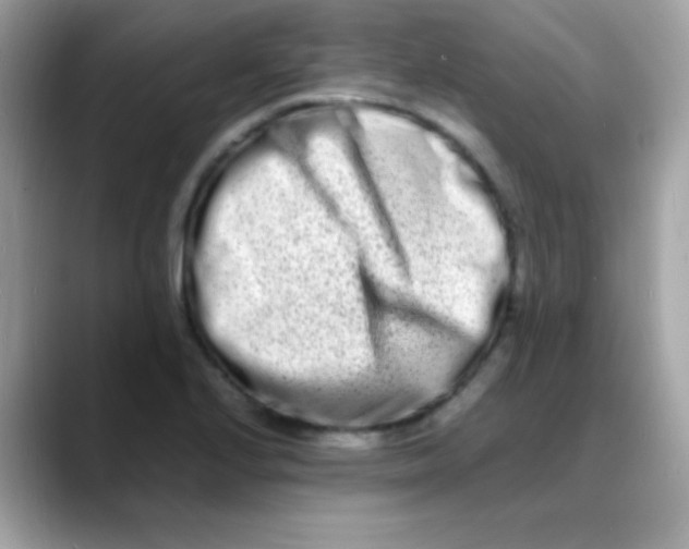 X0000088131224200706041942