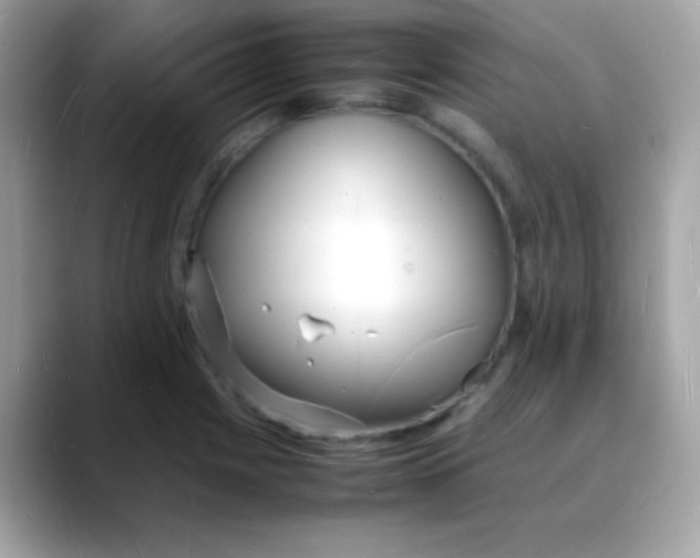 X0000088131225200706041942