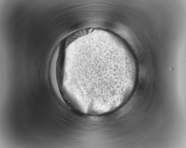 X0000088131226200706041942