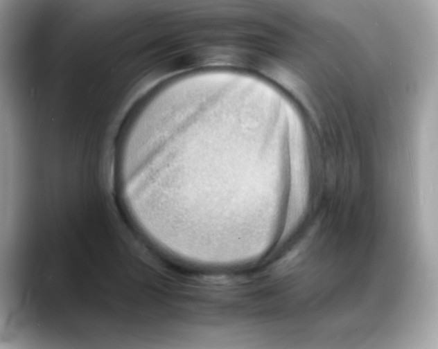 X0000088131227200706041942