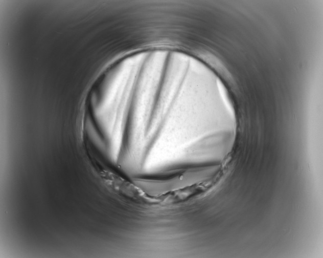 X0000088131228200706041942