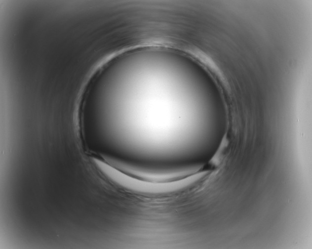 X0000088131230200706041942