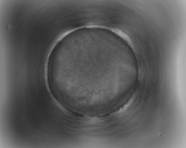 X0000088131231200706041942