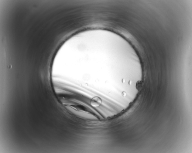 X0000088131232200706041942