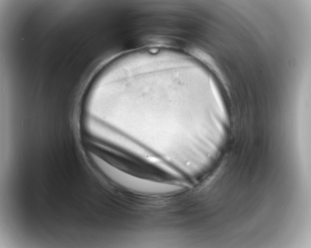 X0000088131235200706041942