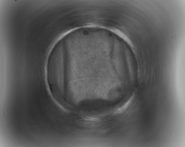 X0000088131239200706041942