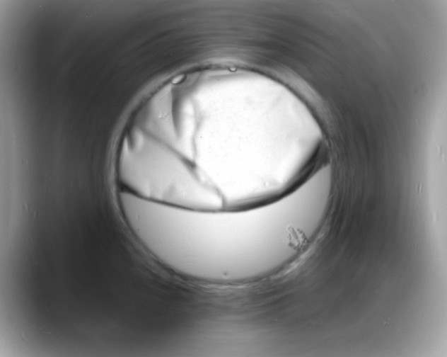 X0000088131240200706041942