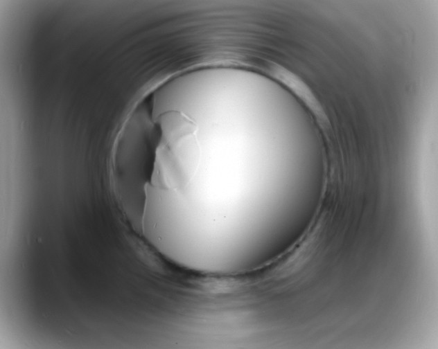 X0000088131242200706041942