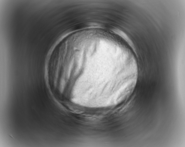 X0000088131243200706041942