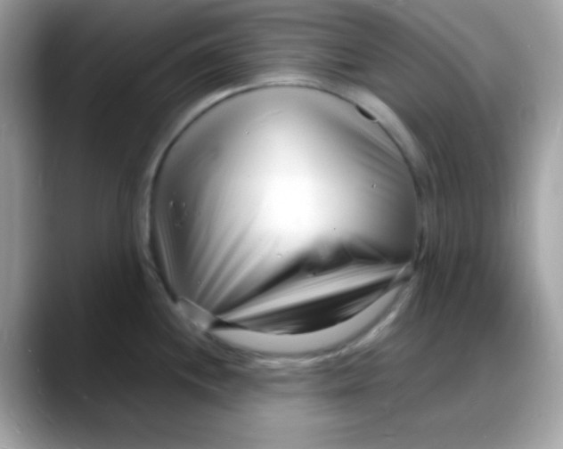 X0000088131244200706041942