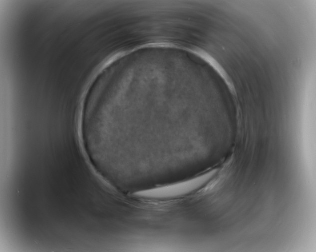 X0000088131245200706041942