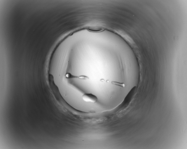 X0000088131248200706041942