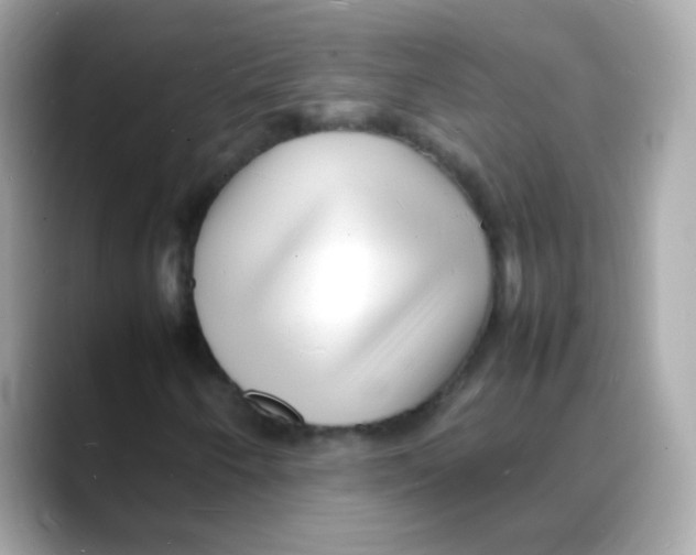 X0000088131250200706041941