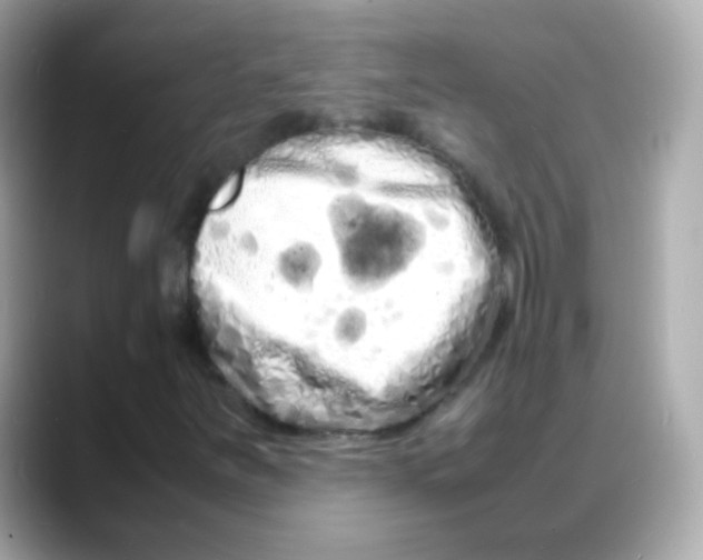 X0000088131251200706041941