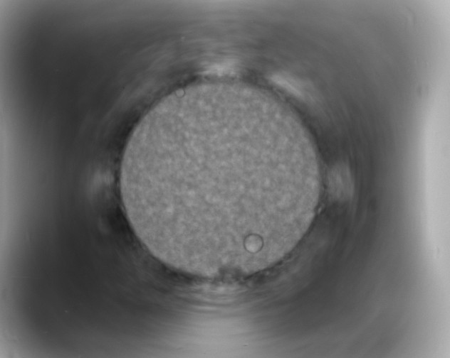 X0000088131254200706041941