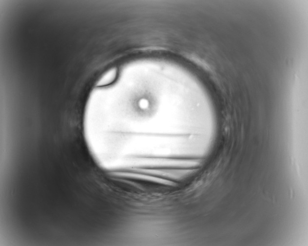 X0000088131255200706041941