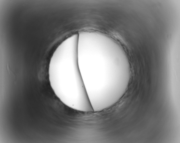 X0000088131256200706041941