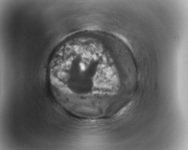 X0000088131263200706041941