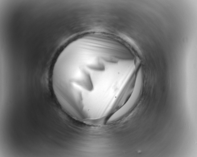 X0000088131264200706041941